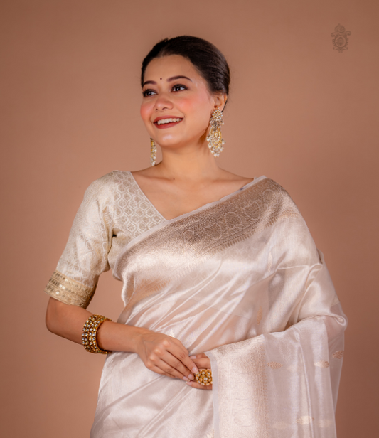 Handwoven Pure Katan Silk Tissue Brocade Benarasi Saree Silver